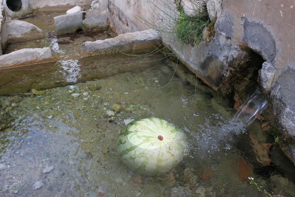 El Molinet del Governador Guadalest Exterior foto